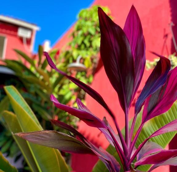 فندق Pousada Kawaii