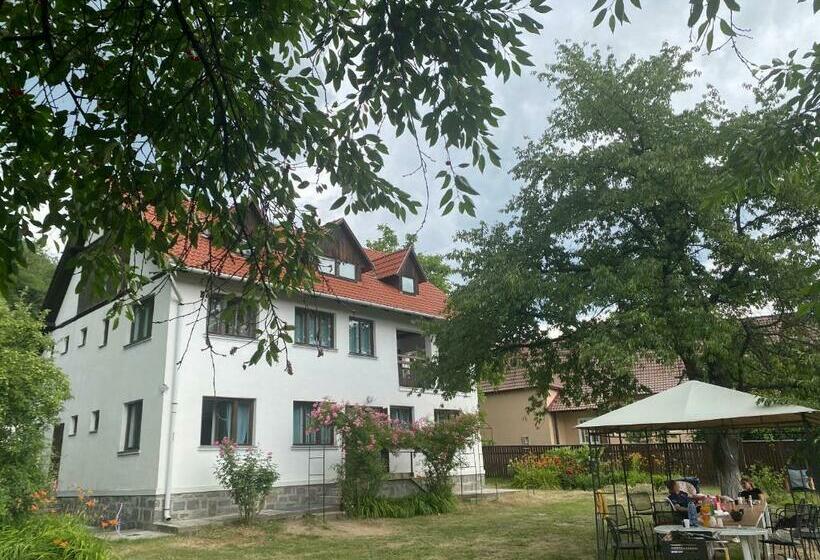 פנסיון Casa Bucataria Fonix