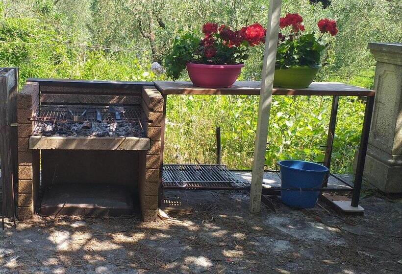 پانسیون L Angolino, Casale Vita Nova