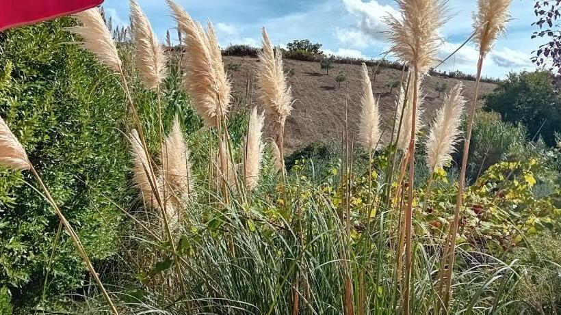 پانسیون L Angolino, Casale Vita Nova