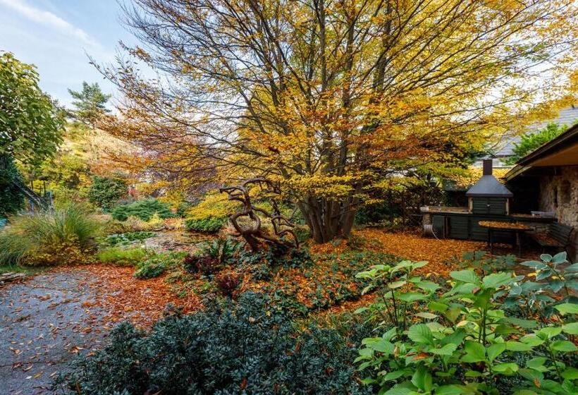 Пансион Origo Vendégház