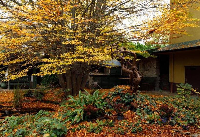 膳宿费 Origo Vendégház