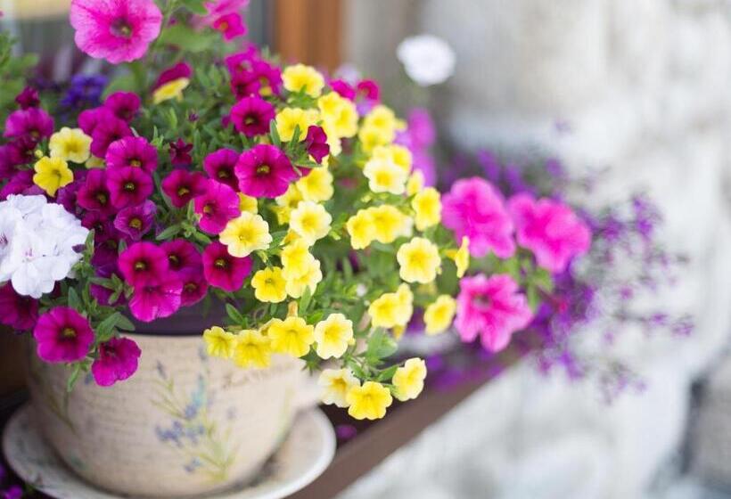 Пансион Penzión U Pavla