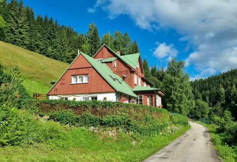 Пансион Penzion Alena