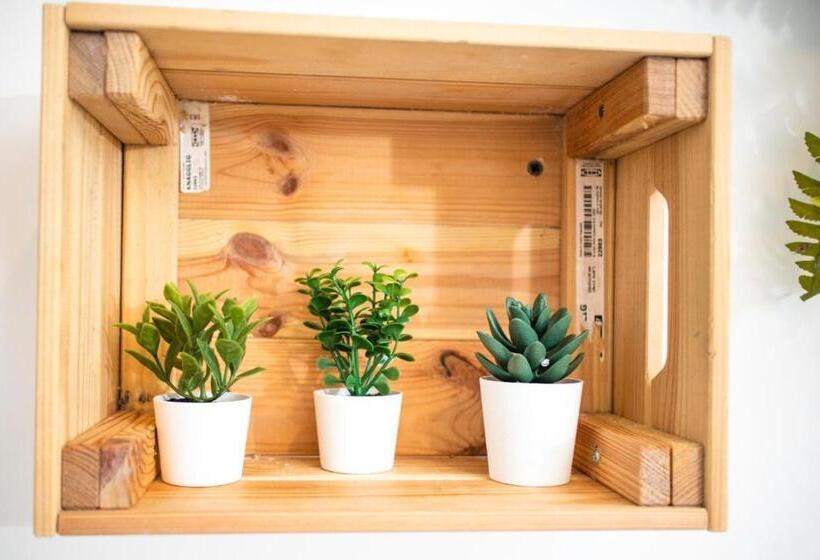 膳宿费 Suebi Rooms