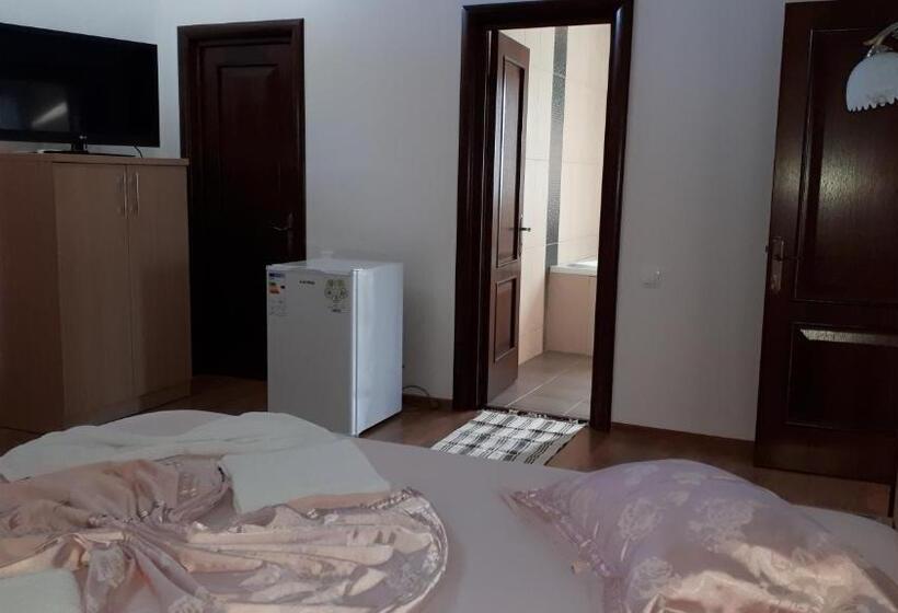 פנסיון Vila Livia