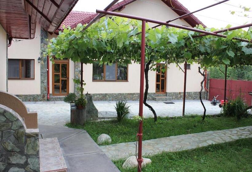 Pensiunea Casa Noastra