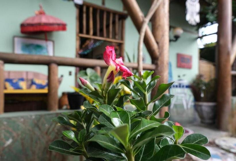 Общежитие Gaia Gardens Pousada