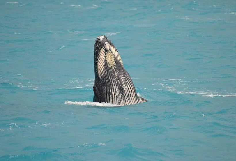 Hostel Pousada Corais De Abrolhos