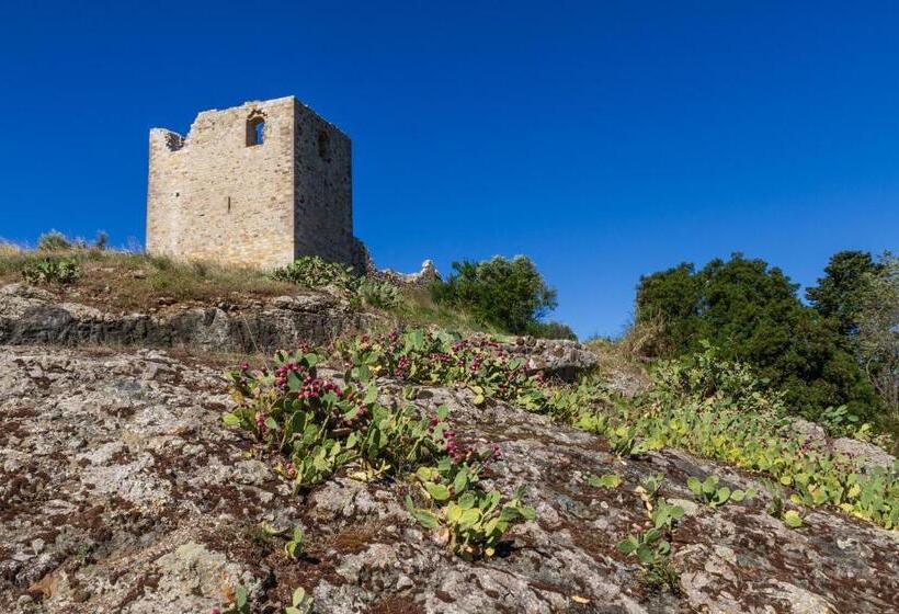 Amazing Tuscany Window