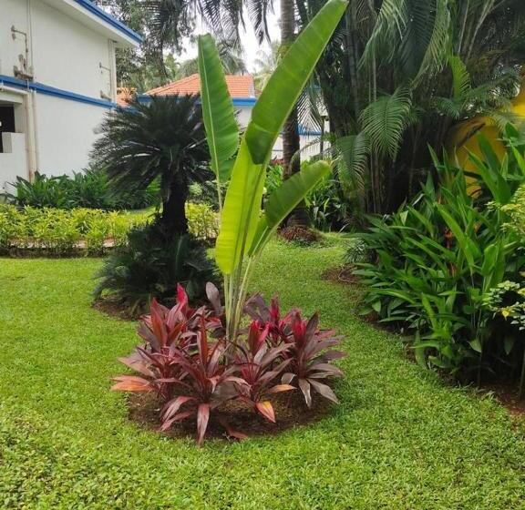 Ary Royal Palms   1 Bhk