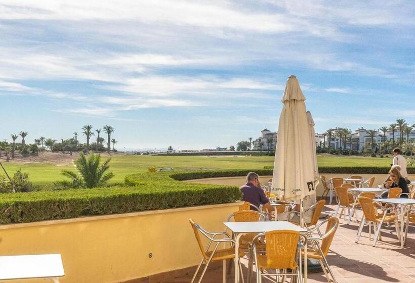 Beautiful Penthouse   Pa1431lt