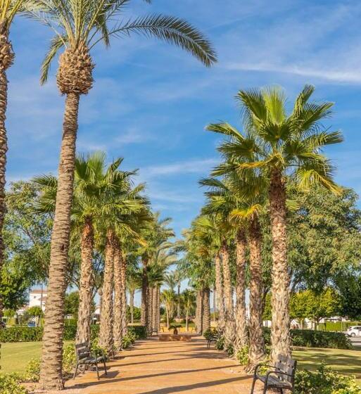 Beautiful Penthouse   Pa1431lt