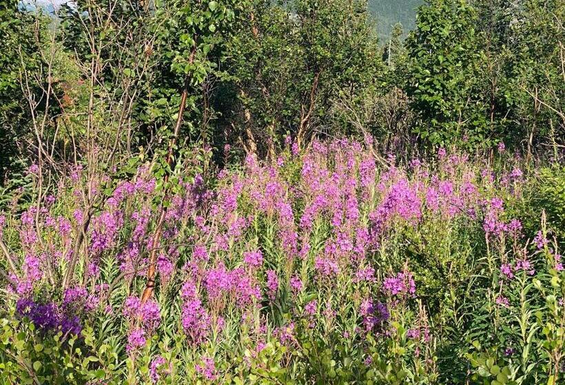 Denali Rv Park & Motel