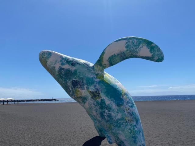 El Mercado Apartment