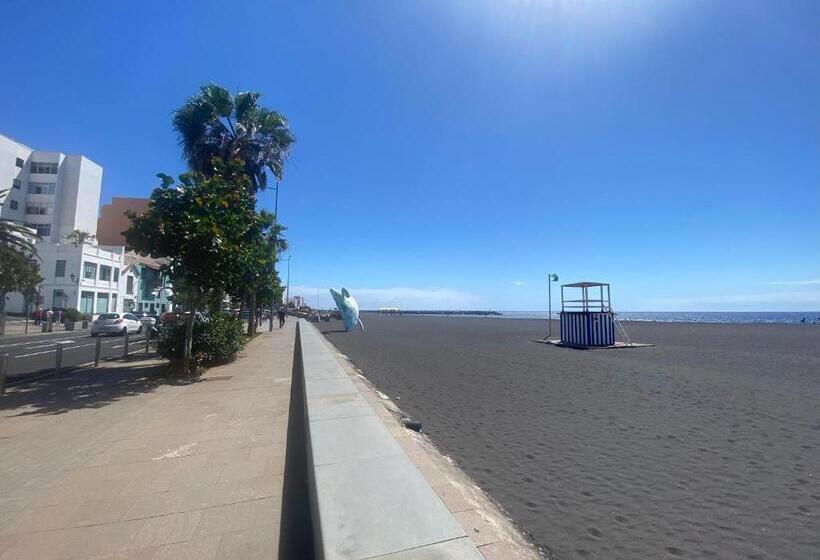 El Mercado Apartment