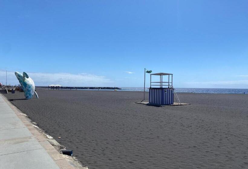 El Mercado Apartment