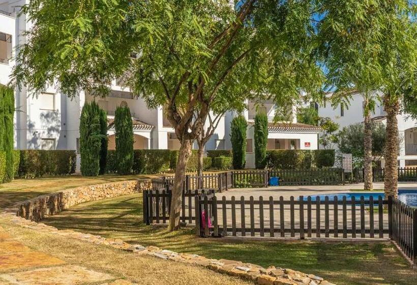 First Floor Apartment Near The Town Centre   Aa511lt