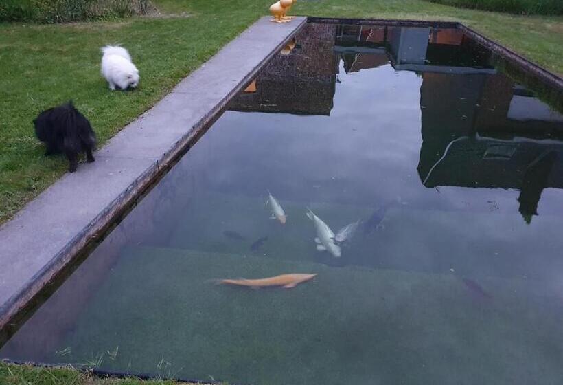 Gezellige Moderne Woning Met Zwemvijver