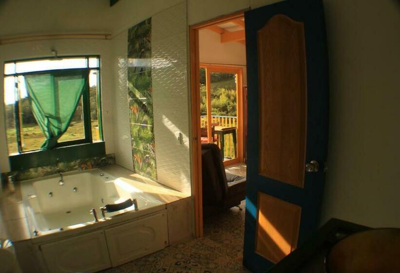 Отель Alegria Hostel Boutique