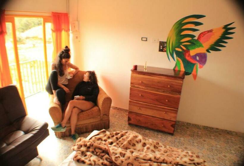 Отель Alegria Hostel Boutique