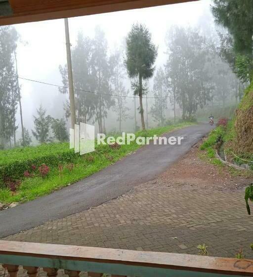 호텔 Gebby Homestay Bromo Redpartner