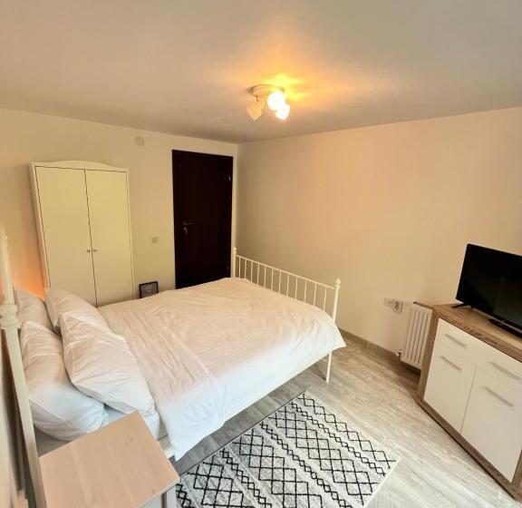 بنسيون Cabana Din Pădure