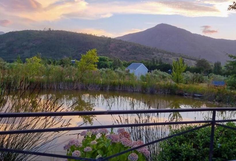 Пансион Droom Guesthouse