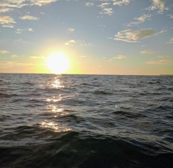 بنسيون Hostal & Cabins Lidia S House, Forest And Ocean View