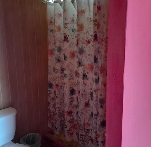 Пансион Hostal & Cabins Lidia S House, Forest And Ocean View