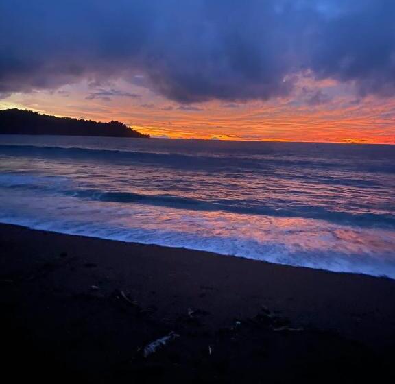 بنسيون Hostal & Cabins Lidia S House, Forest And Ocean View