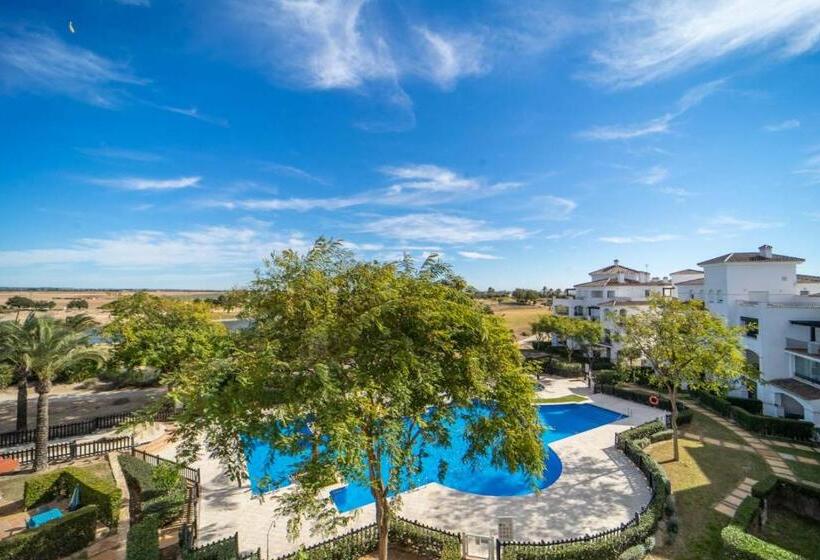 Penthouse With Large Terrace   Se731lt