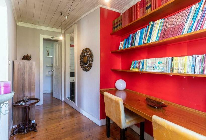 הוסטל Ctr Guest House