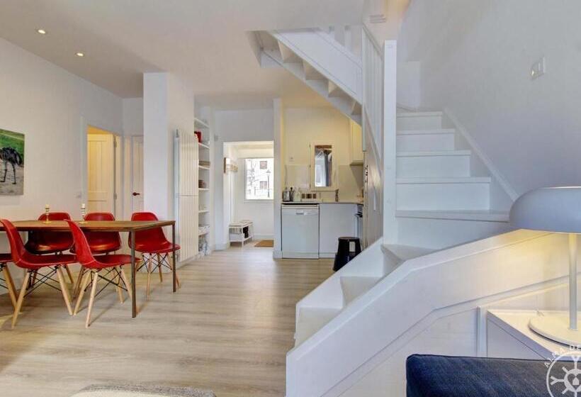 Blanhiblar De Alma De Nieve