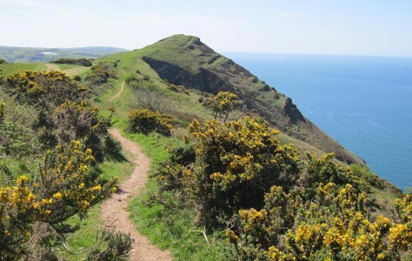 Bucklands At Bideford Bay
