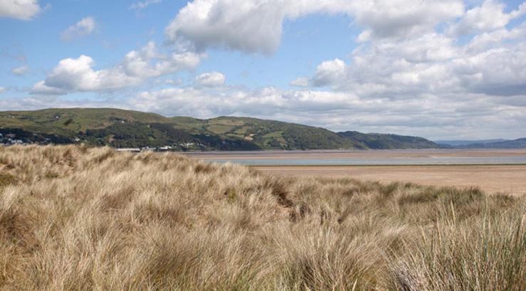 Bucklands At Bideford Bay