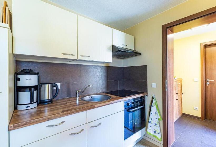 Ferienhaus Schlag Wohnung 1