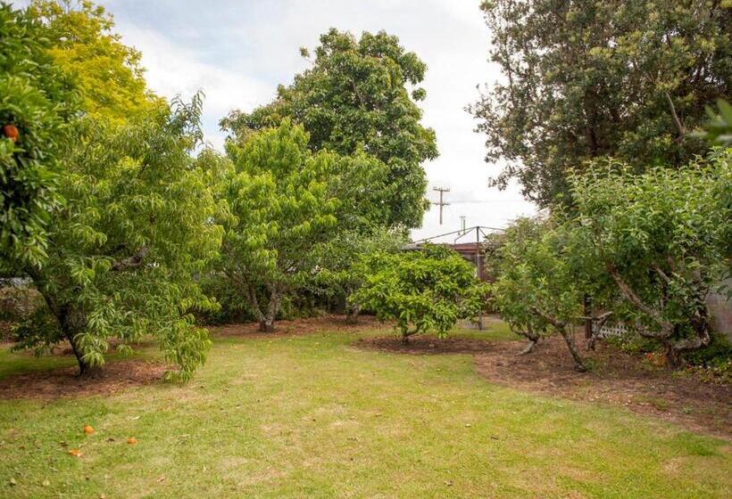 Holiday Haven   Whitianga Bach