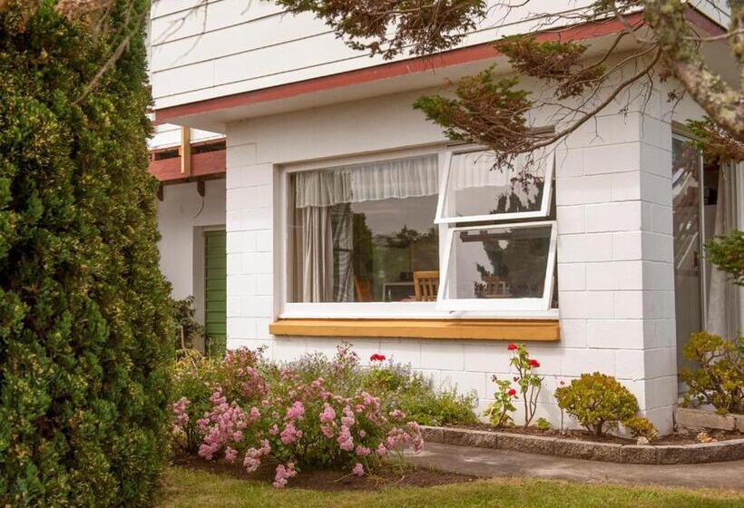 Holiday Haven   Whitianga Bach