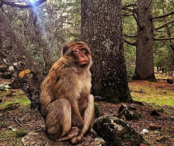 Issli Appartment Climatisé Hiver Et été