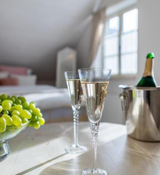 Пансион Boutique Hotel Soukeníkův Dům