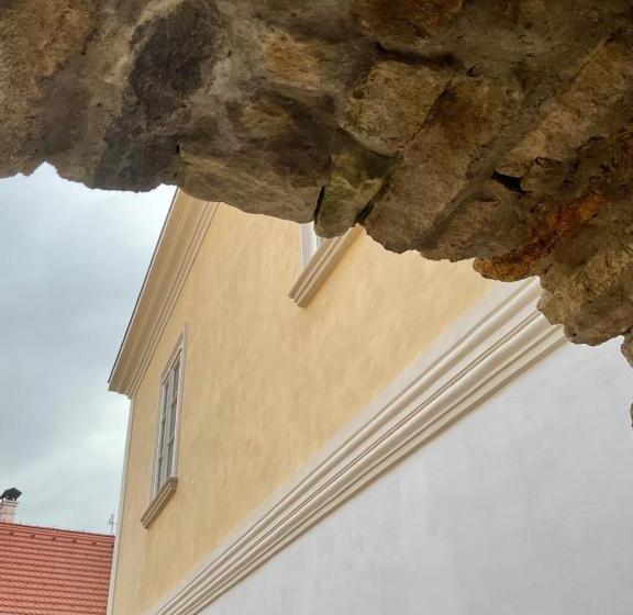 پانسیون Boutique Hotel Soukeníkův Dům