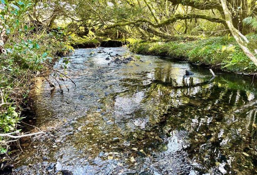 Stepping Stones Glamping ‘the Olive’