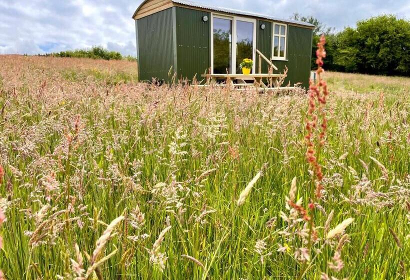 Stepping Stones Glamping ‘the Olive’