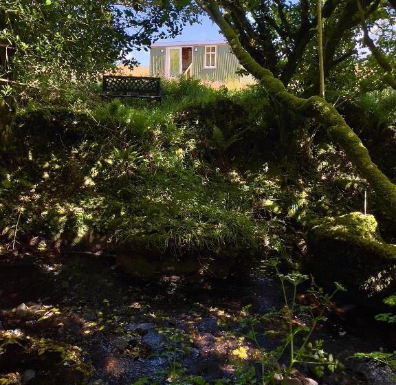 Stepping Stones Glamping ‘the Olive’