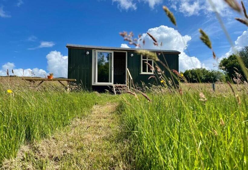 Stepping Stones Glamping ‘the Olive’