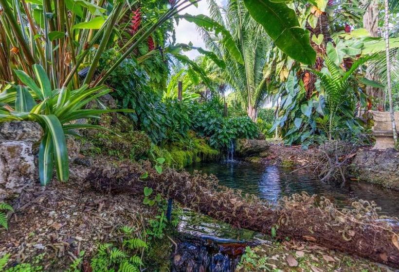 The Garden House Hot Tub Pool And Lush Garden Oasis