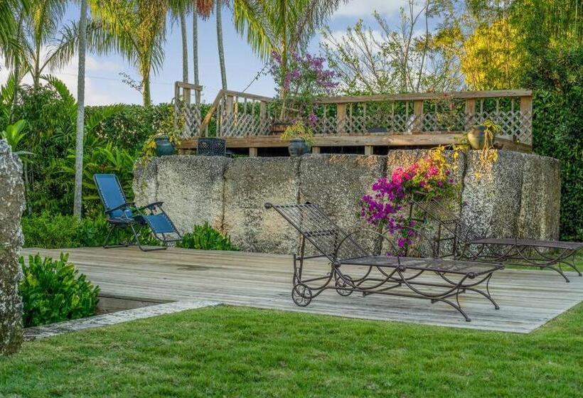 The Garden House Hot Tub Pool And Lush Garden Oasis