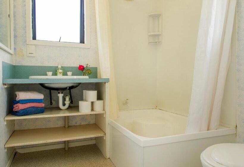 Vintage Pohutukawa   Whangamata Bach