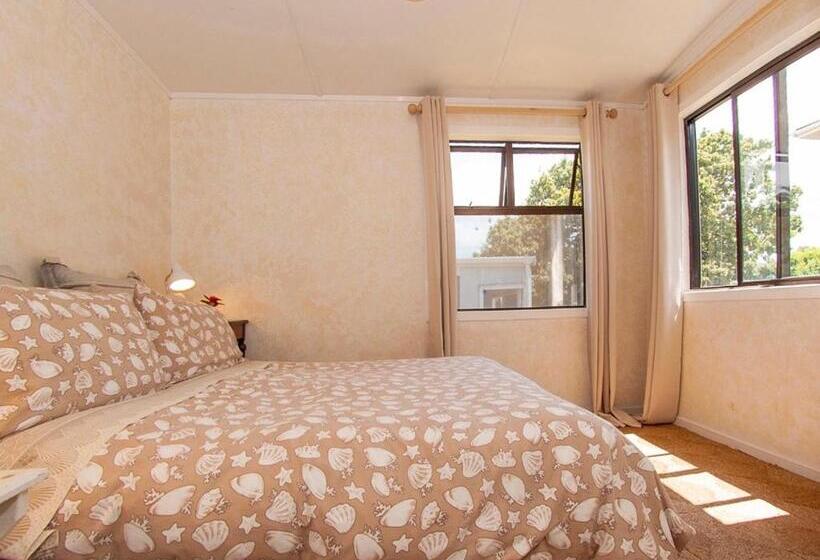 Vintage Pohutukawa   Whangamata Bach